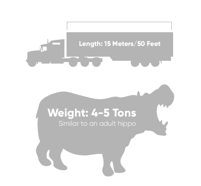 Nigersaurus body and weight chart