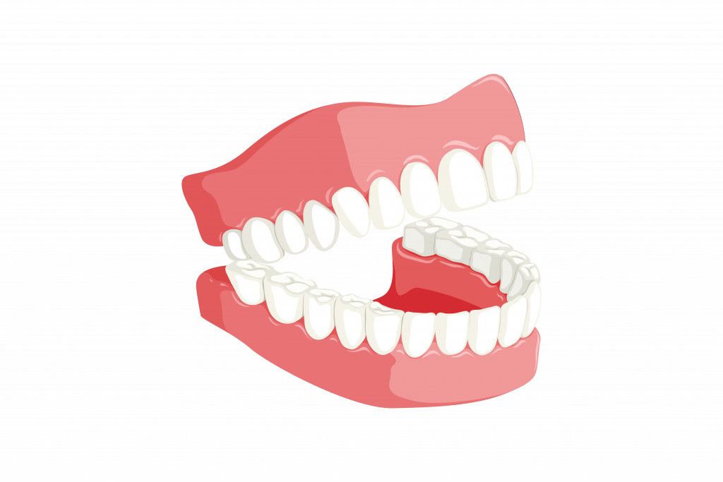 32 permanent teeth